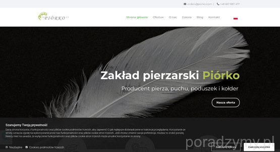 piorko-skup-i-sprzedaz-pierza-import-export-tomasz-lewandowski